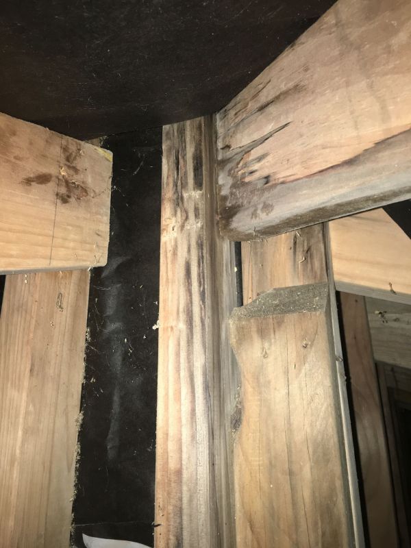 Leaky Home Inspections